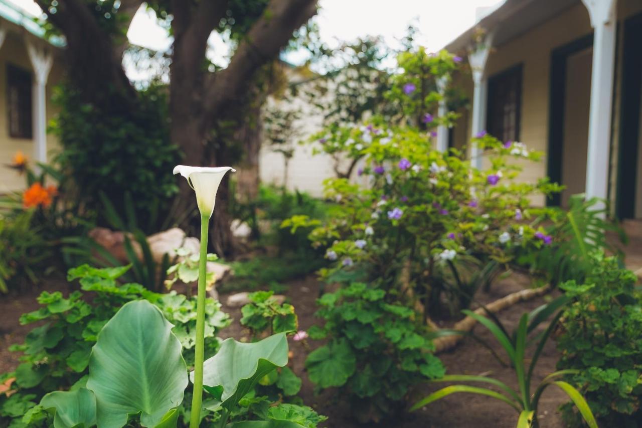 Victoria & Alfred Boutique Hotel พอร์ตเอลิซาเบธ ภายนอก รูปภาพ